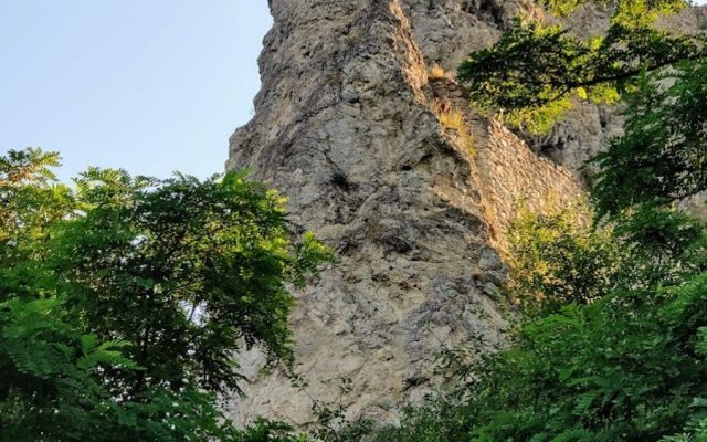 Devín Castle and currant wine