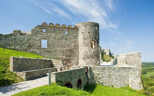 Devín Castle and currant wine