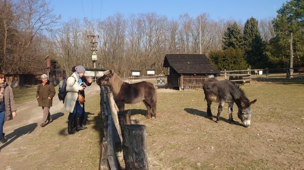 Besuch einer slowakischer Biofarm